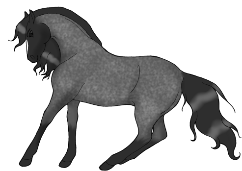 Image - Stallion (500x351)