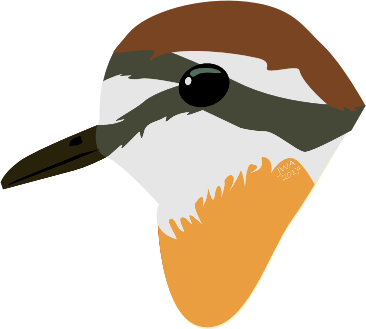 Buried Treasure - Illustration (800x800)