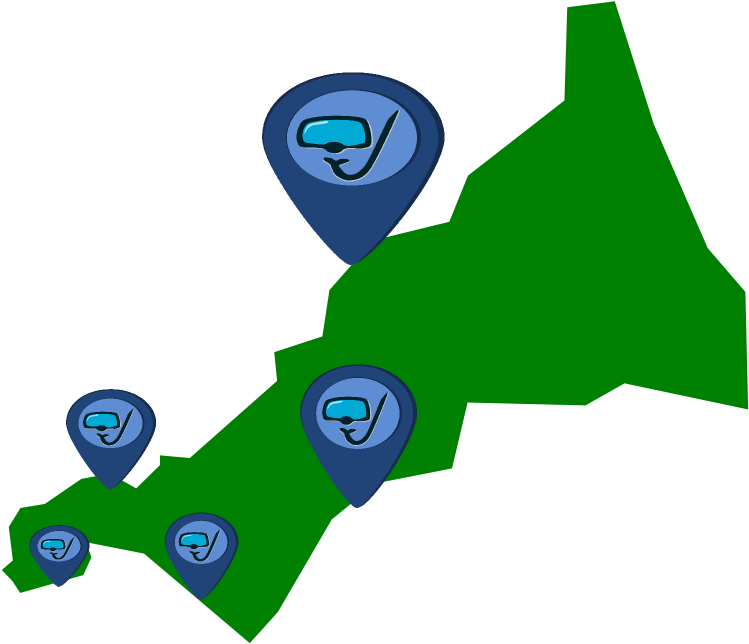 Snorkeling In Cornwall - Snorkeling In Cornwall (800x800)