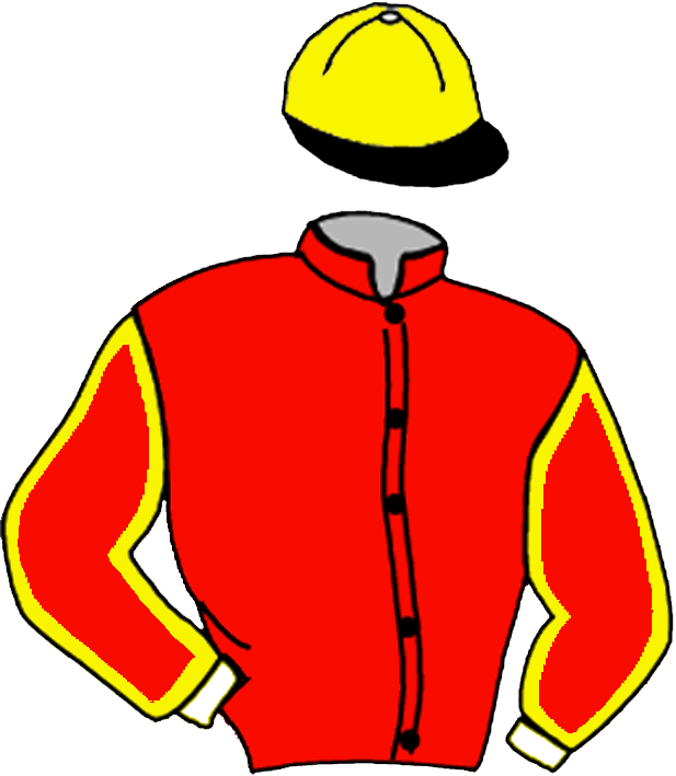 Dol Du Trieux - Casaque Jean Michel Bazire (617x709)