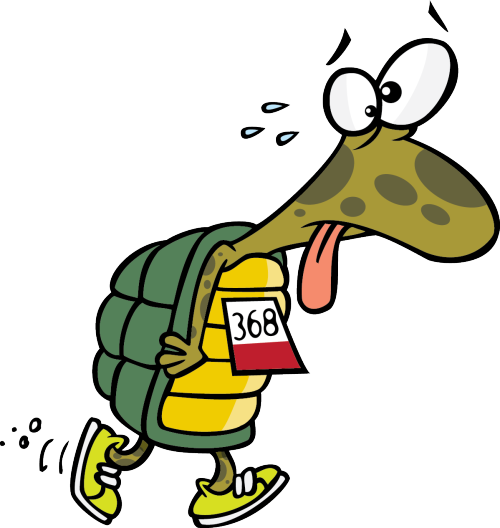 Apparently, The Dude Waited In The Crowd And Ran Just - Turtle In A Race (1198x1265)