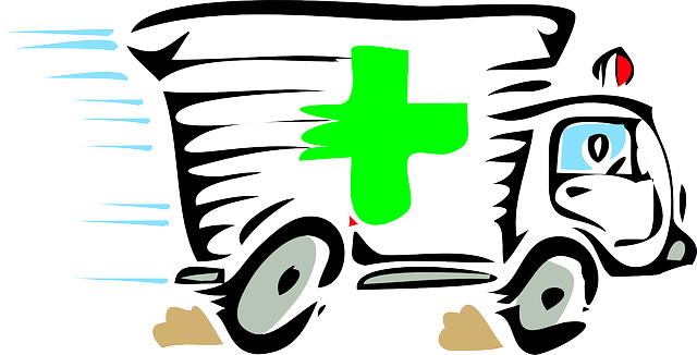 Karma Ran Over My Dogma - Ambulance Clip Art (640x326)