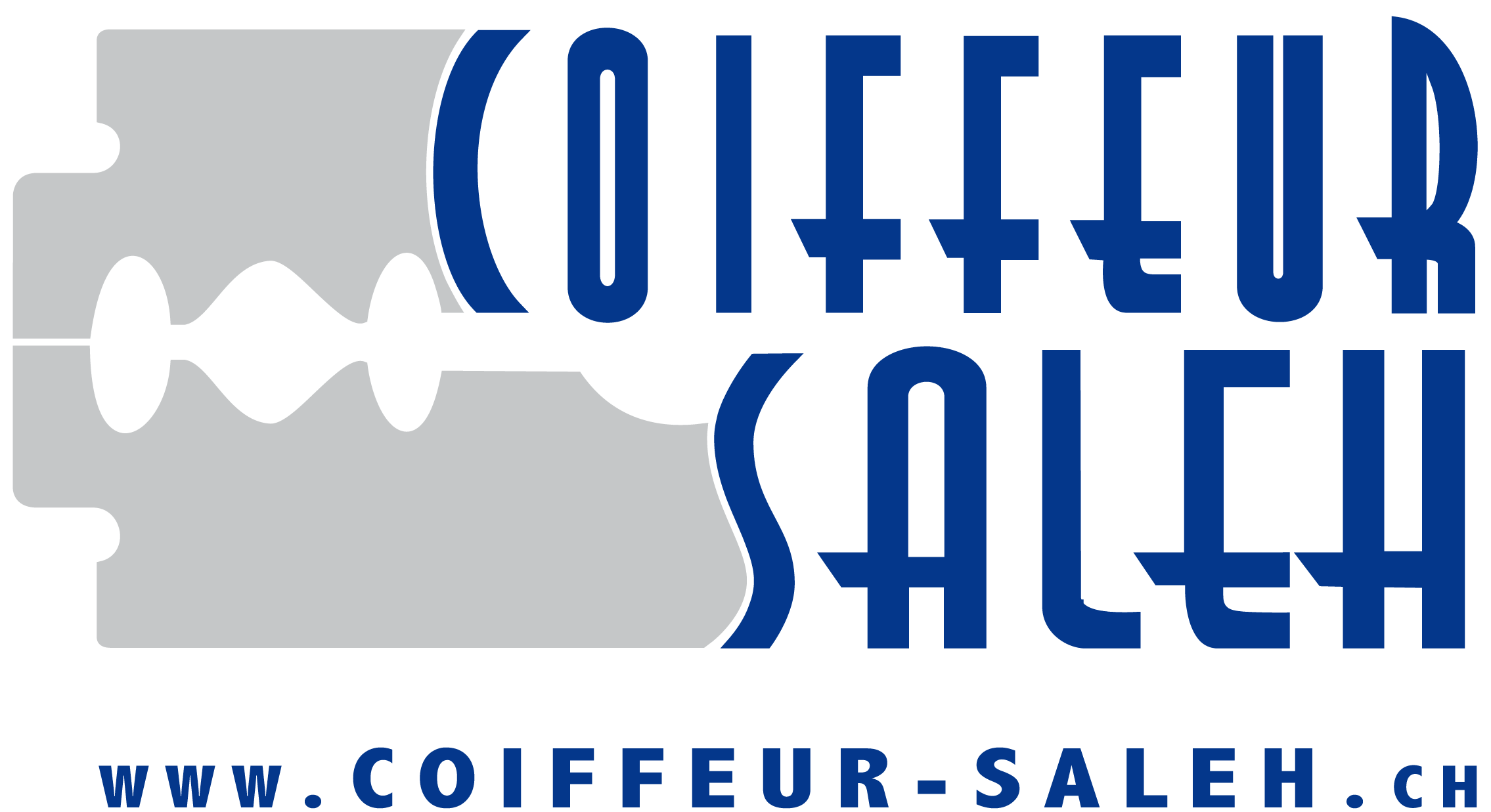 Coiffeur Saleh - Rheinmetall Air Defence (2324x1276)