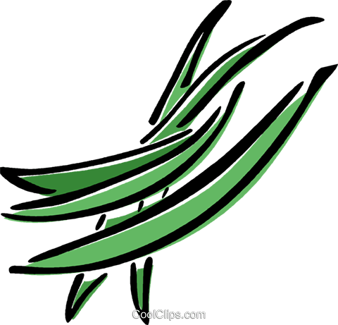 Green Beans Royalty Free Vector Clip Art Illustration - Green Bean Clip Art (480x461)