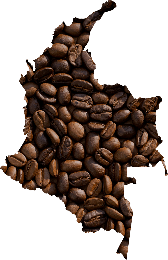 From An American Perspective, Tobacco May Read Like - Coffee Beans (657x1016)