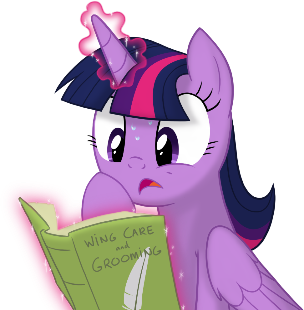 Wing Care Grooming An Pony Twilight Sparkle Rarity - Dimension (1012x1012)