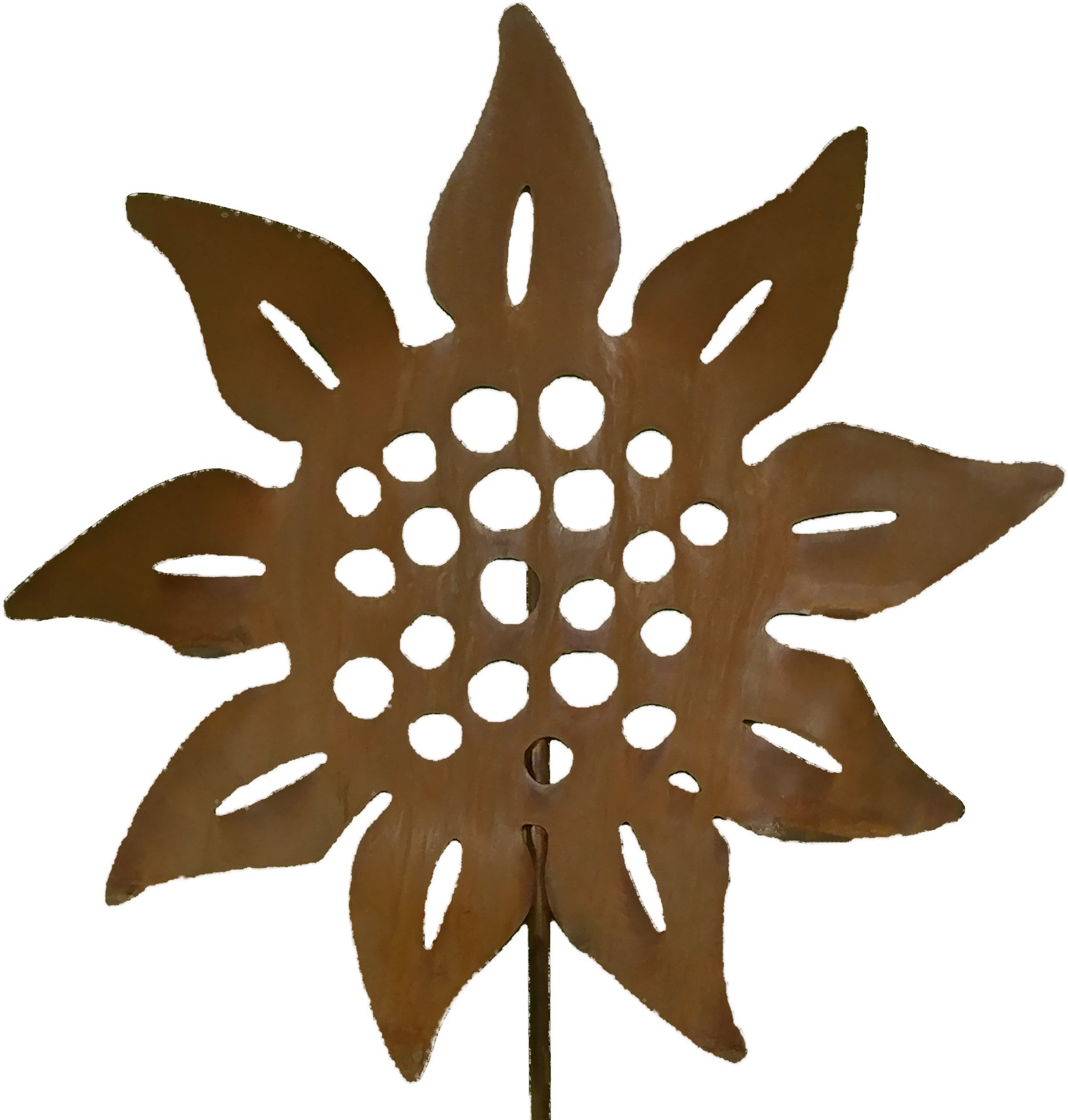 Sunflower Larger Image - Water Birth (1712x1756)