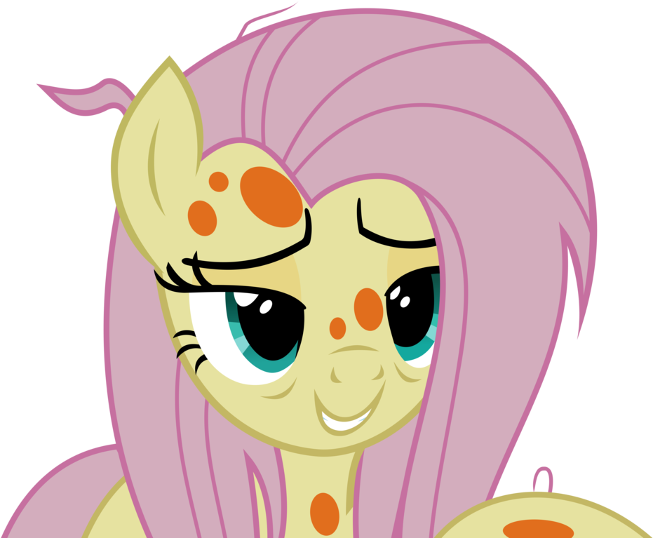 Sick Zecora - Deviantart Fluttershy Vector (1024x768)