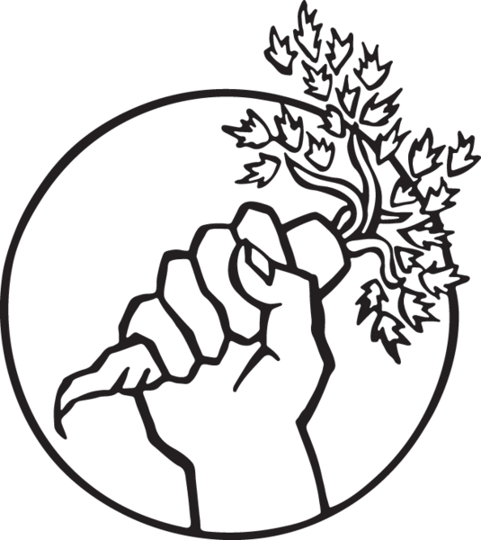 Hand With Carrot - Food Not Bombs (535x600)