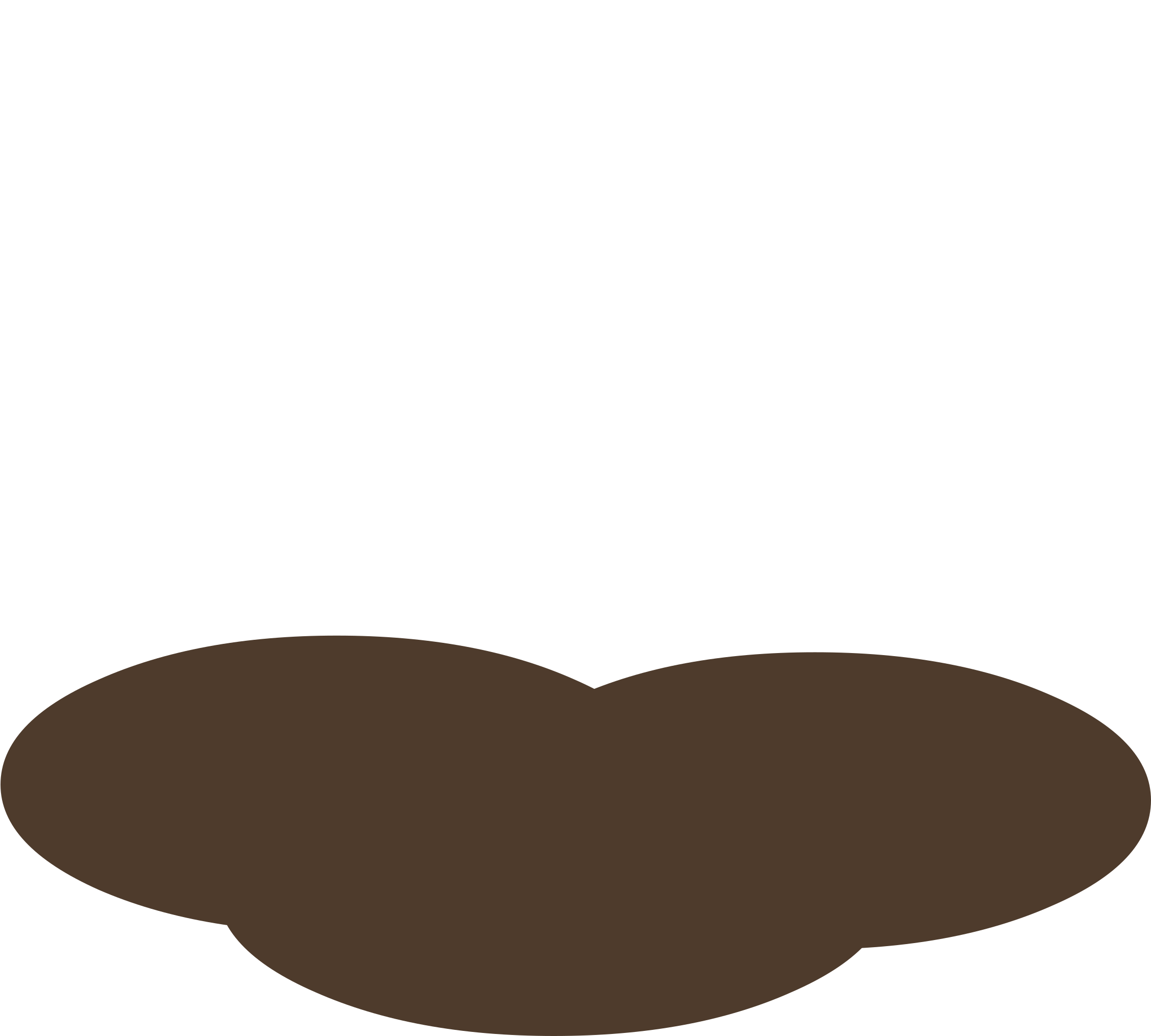 Grass Solid Trans - Transgender (2400x2028)