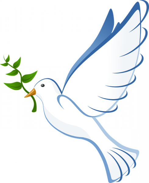 Peaceful Poetry Youth Contest - Peace Dove No Background (489x600)