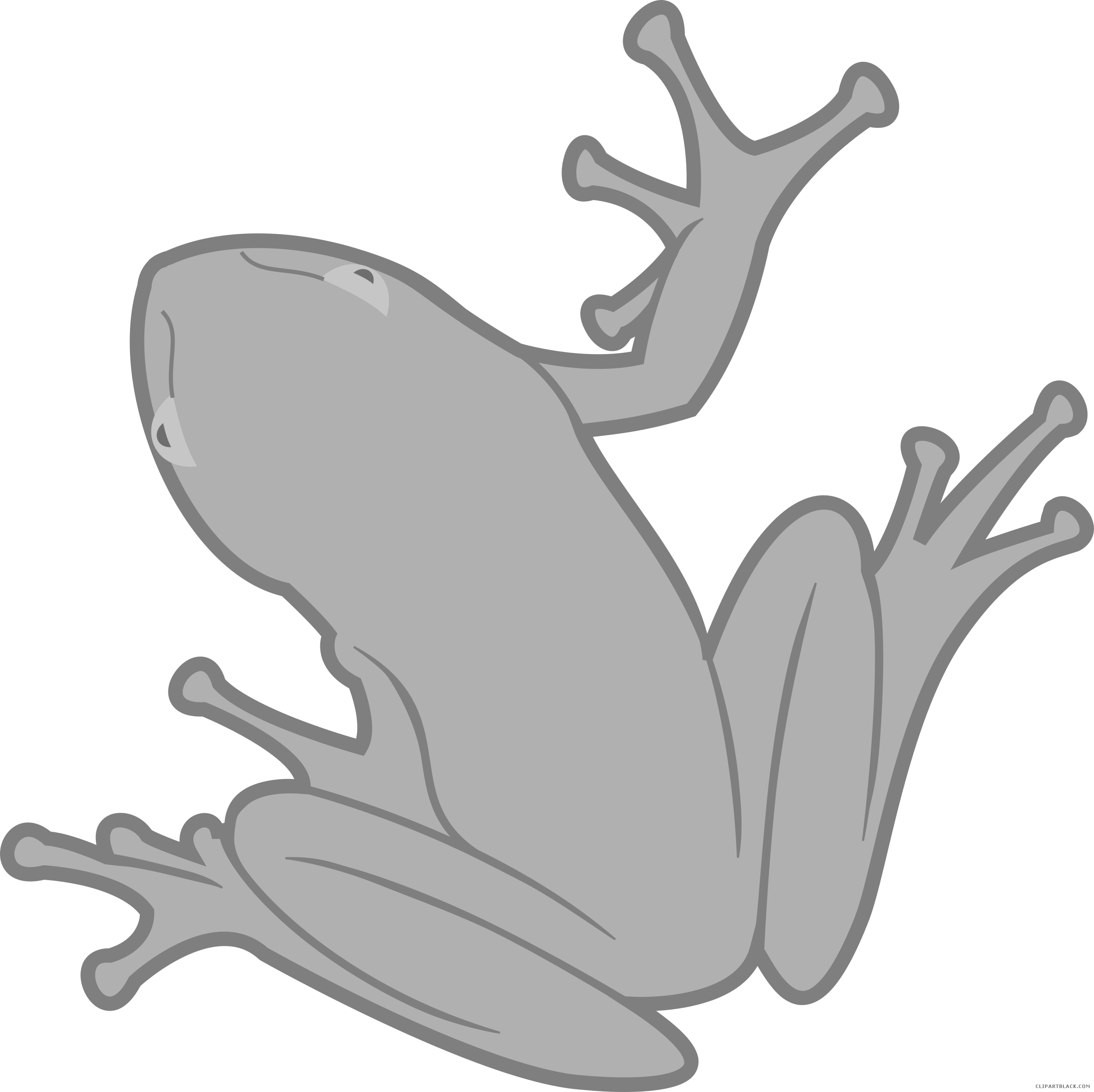 Grayscale Frog Animal Free Black White Clipart Images - Custom Green Frog Shower Curtain (2500x2495)