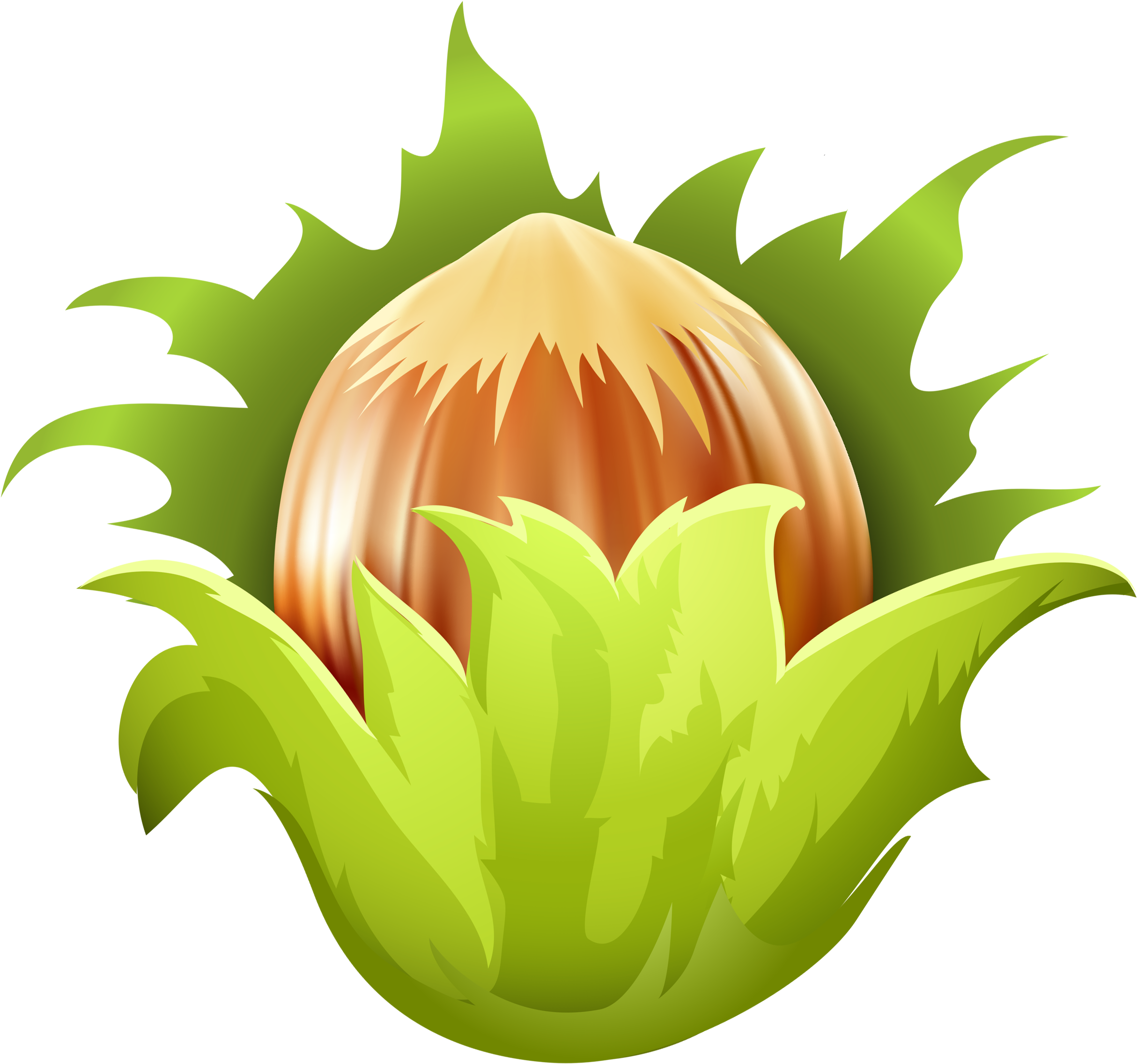 Ice Cube High School Download - Hazelnut Clipart (2472x2268)