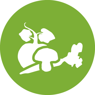 Veggie Patty - Portrait Of A Man (500x500)