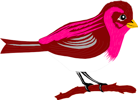 Brown, Pink, Bird, Branch, Finch - Transparent Pic Cartoon Bird (468x340)