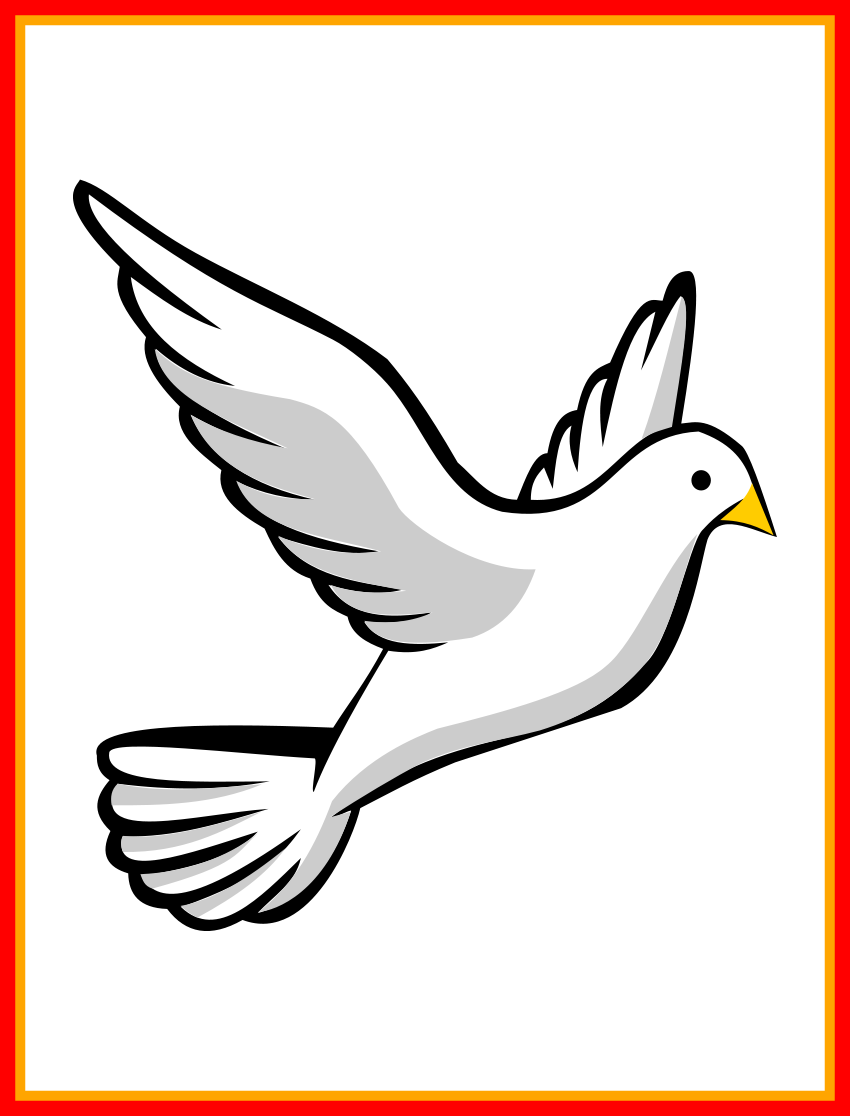 Unbelievable Pin By Randa On Tumblr Cover Photos Picture - Transparent Background Dove Clipart (850x1116)