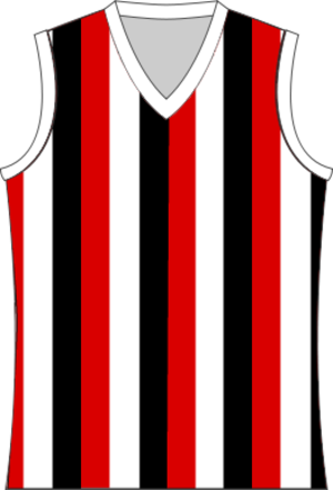 St Kilda Football Club - Sports Jersey (300x441)