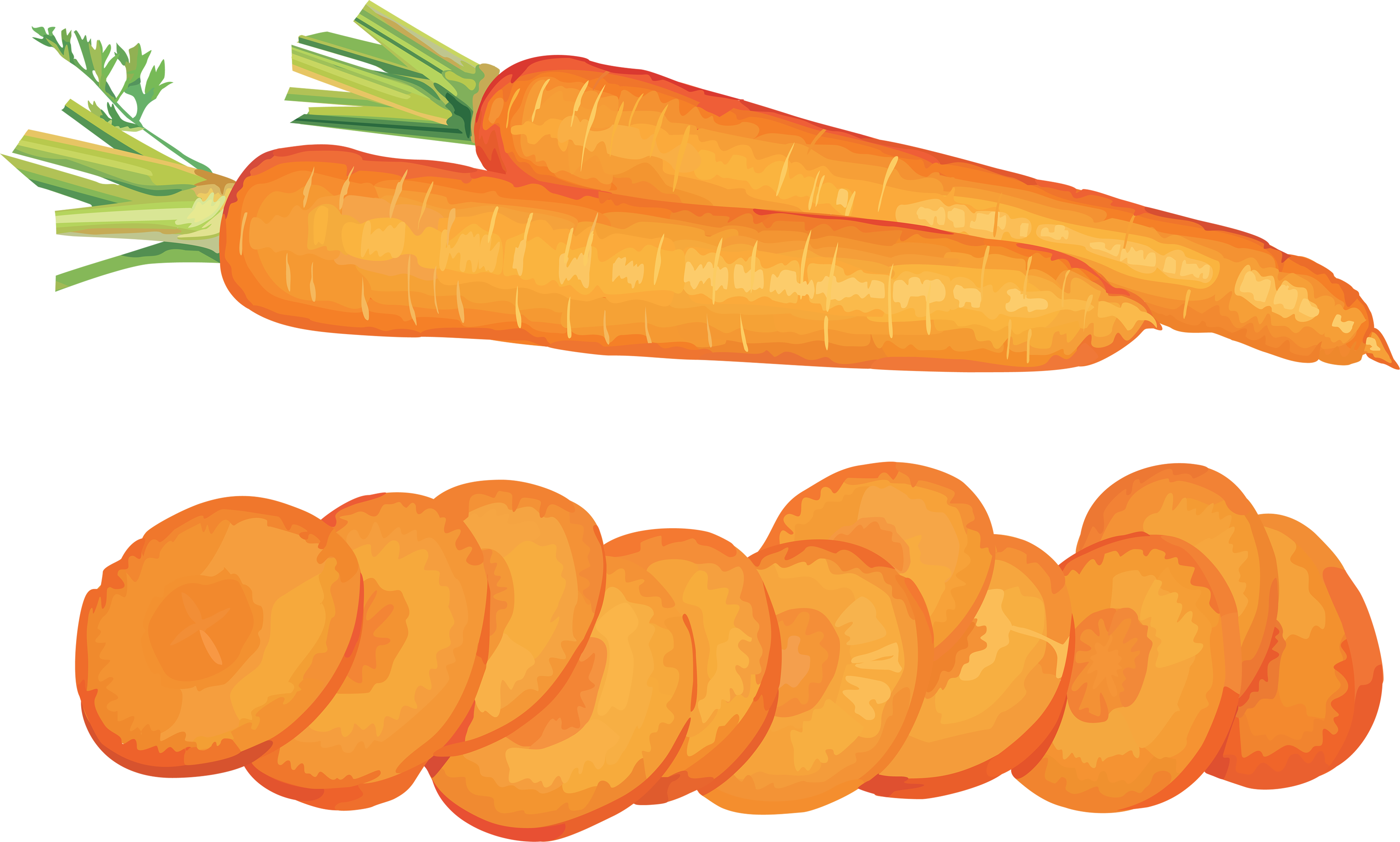 Chop Food Clipart - Carrot Food Clipart (3497x2104)