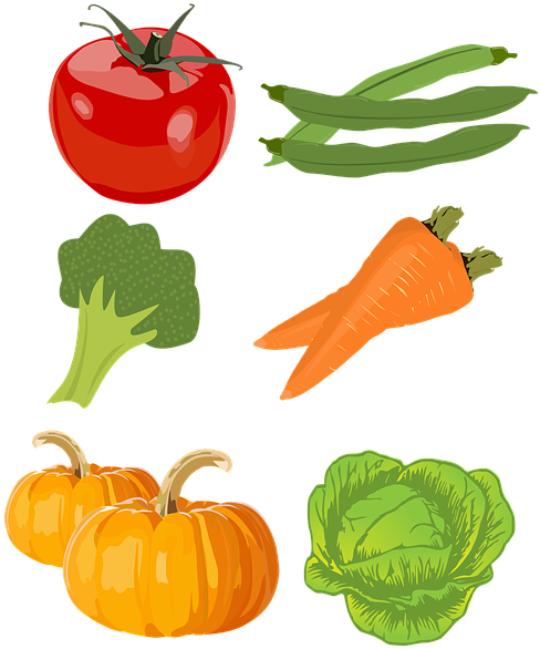 Food Cliparts Vegetables 6, Buy Clip Art - Food Group (556x720)