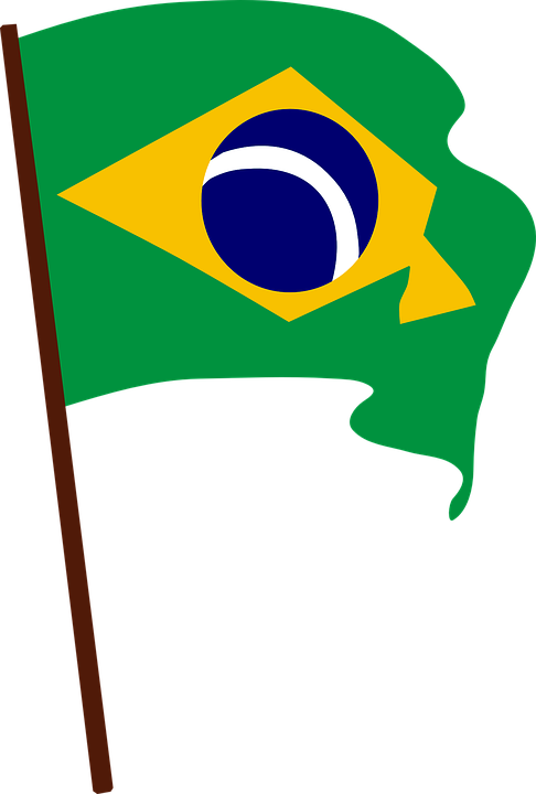 Brazil Flag Vector - Brazil Flag Png (486x720)