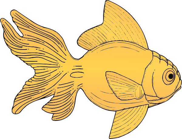 Fins Clipart Goldfish - Gold Fish Clip Art (600x460)