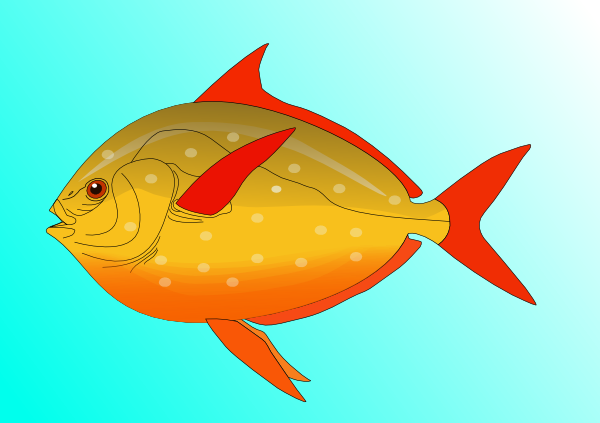 Colorful Fish In Water Clip Art - Tropical Fish Shower Curtain (900x634)