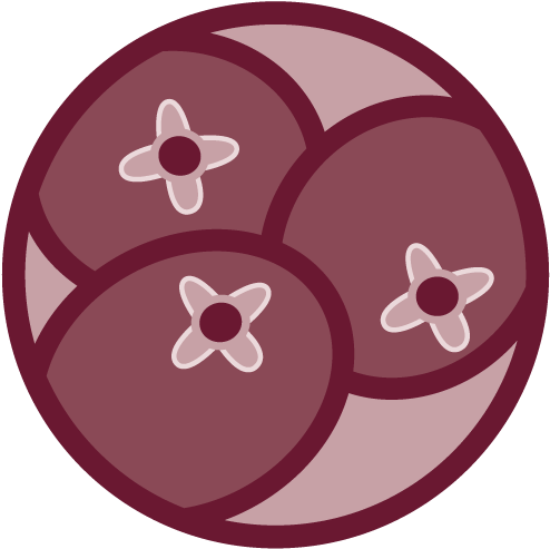 Some Are Pretty Logical, Like Turkey, But Items Like - Quality By Design (504x504)