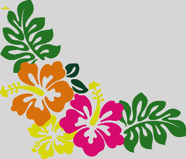 Hibiscus Clipart (600x514)