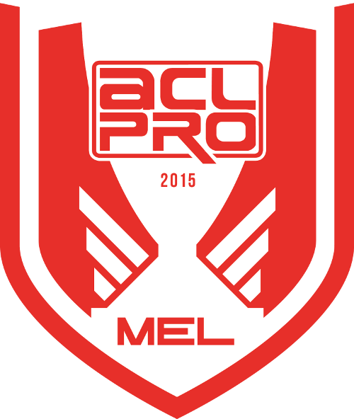 Australian Cyber League - Acl Gaming (500x592)