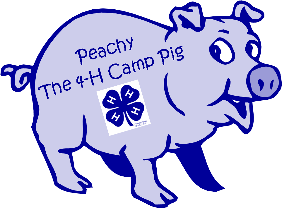 Pig Cartoon Clip Art - Cartoon Pigs Clip Art (975x737)