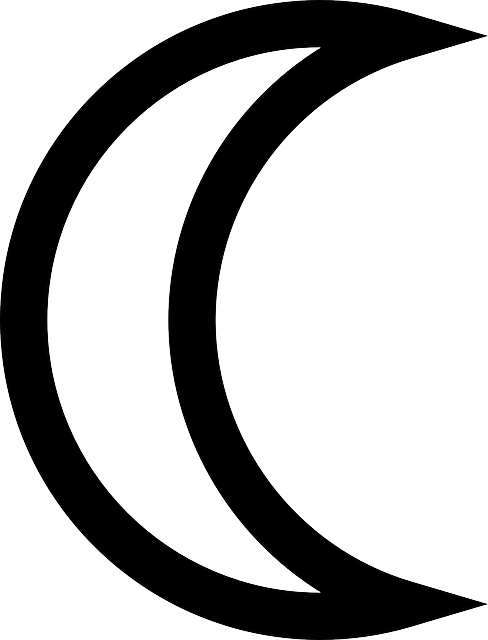 Black And White Moon Clip Art Download - Lua Desenho Fundo Transparente (488x640)