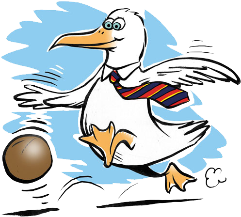 I Need To Have Something Else To Focus On, Whether - Duck (500x460)