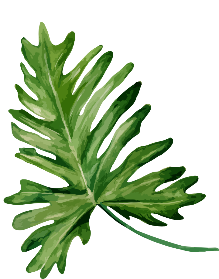 Passion - Bandinist Ruby Red Flower Hair Clip (730x928)