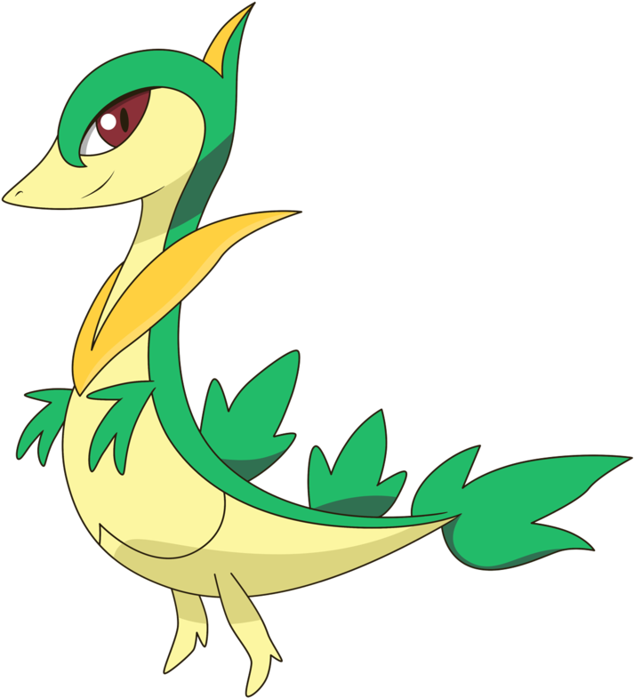 Pokemon Snivy Girl Images - Pokemon Black And White Starter (800x882)