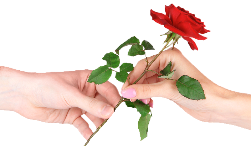 Rose Hand - Rose Hand (802x467)