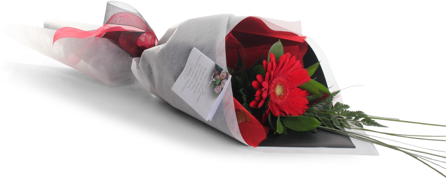 Single Gerbera Amys Flowers - Single Gerbera Bouquet (900x377)
