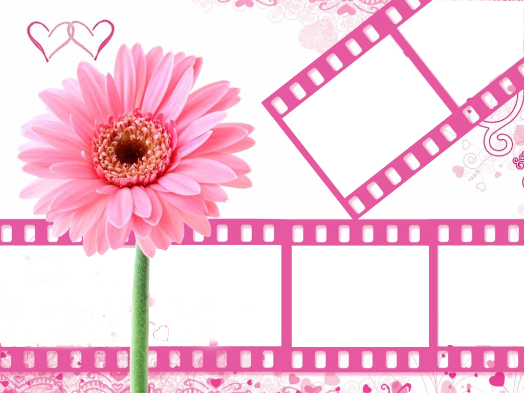 Girly Photo Frames Png (1024x768)