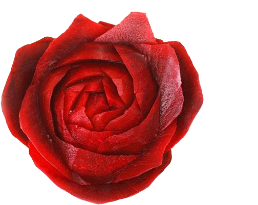 Vegetable Photography Beetroot Food - Garden Roses (600x450)