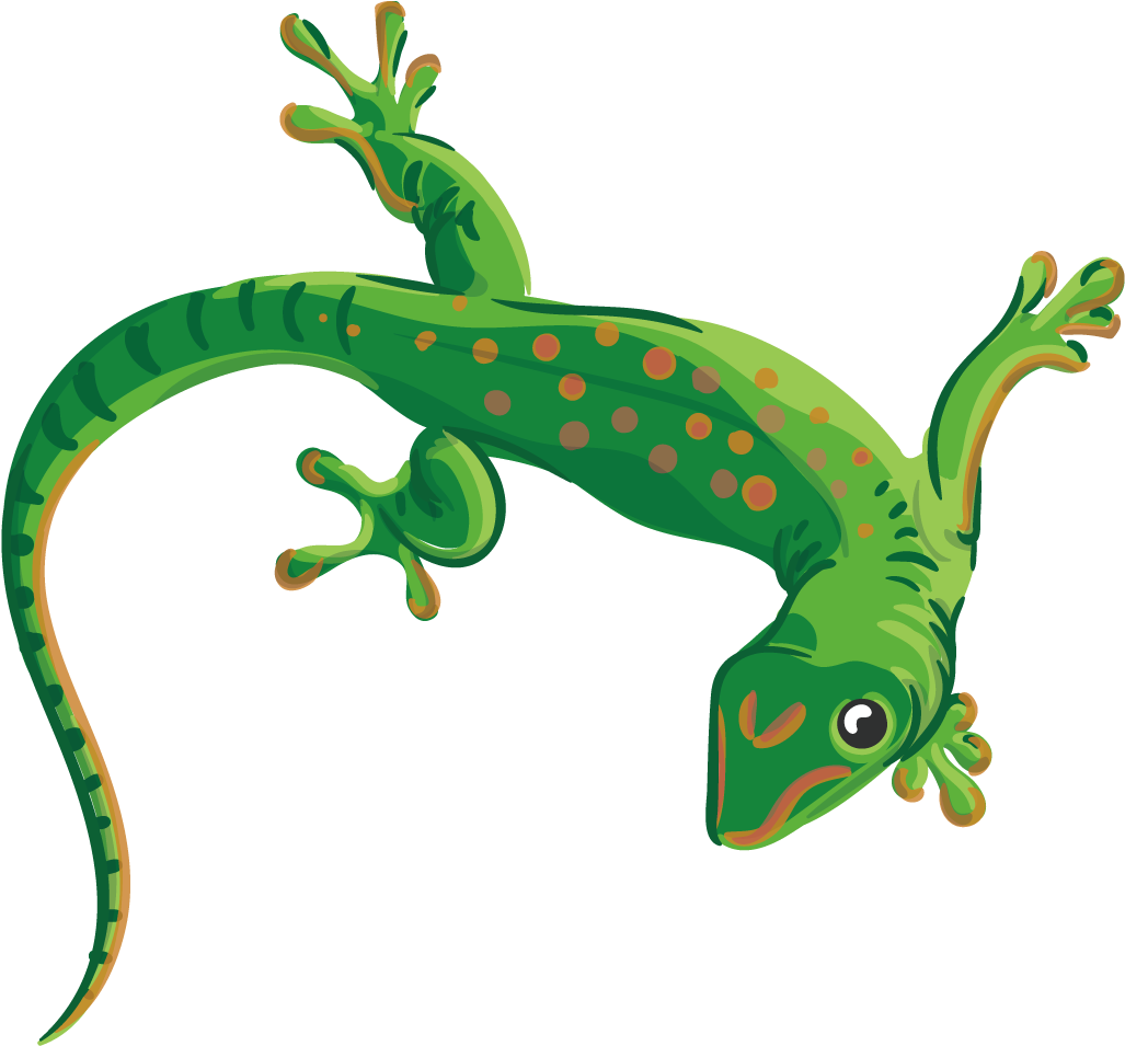 Reptile Lizard Chameleons Euclidean Vector Illustration - Lizard Transparent Vector (1200x1200)