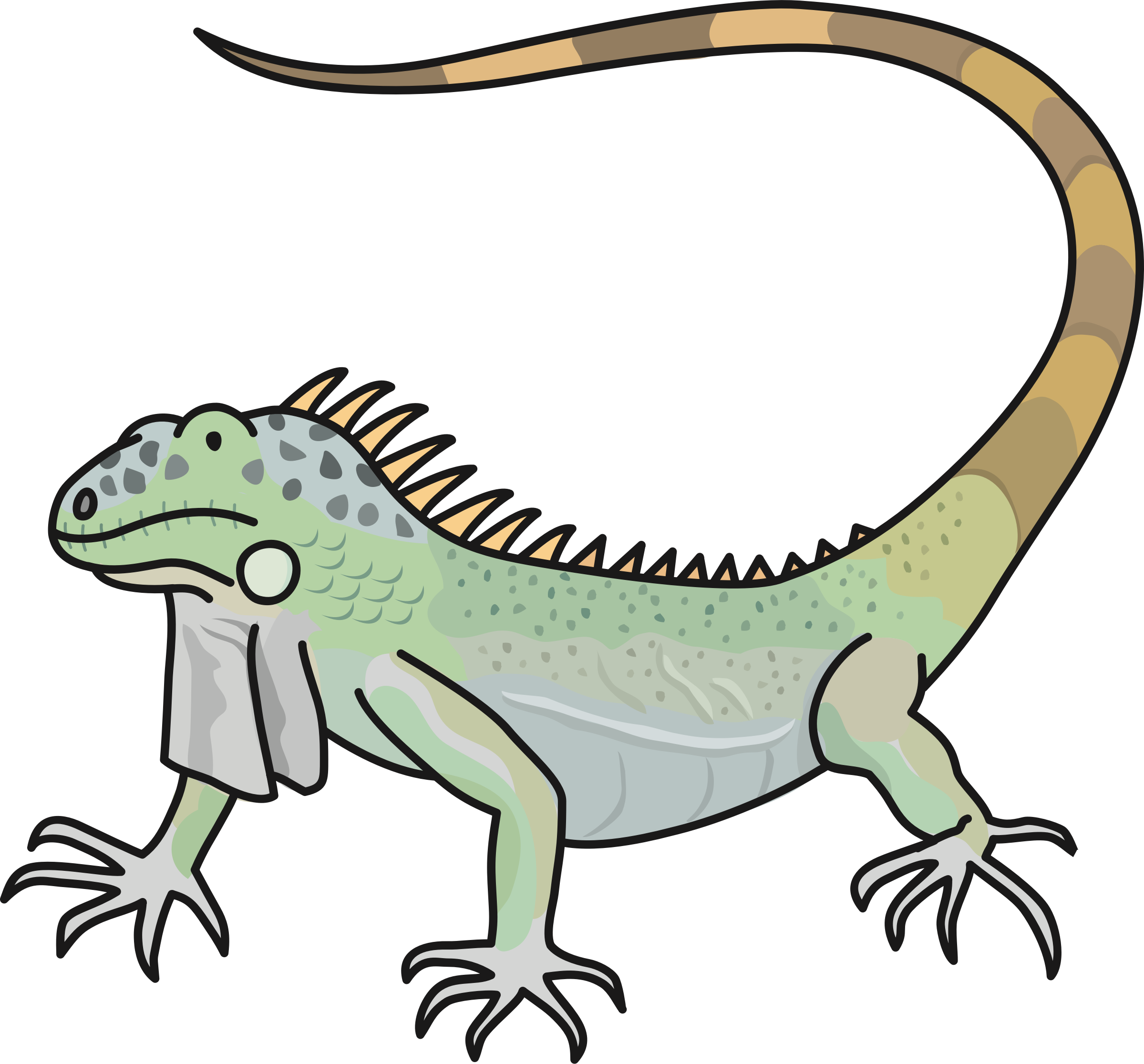 Lizard - Green Iguana (2399x2231)