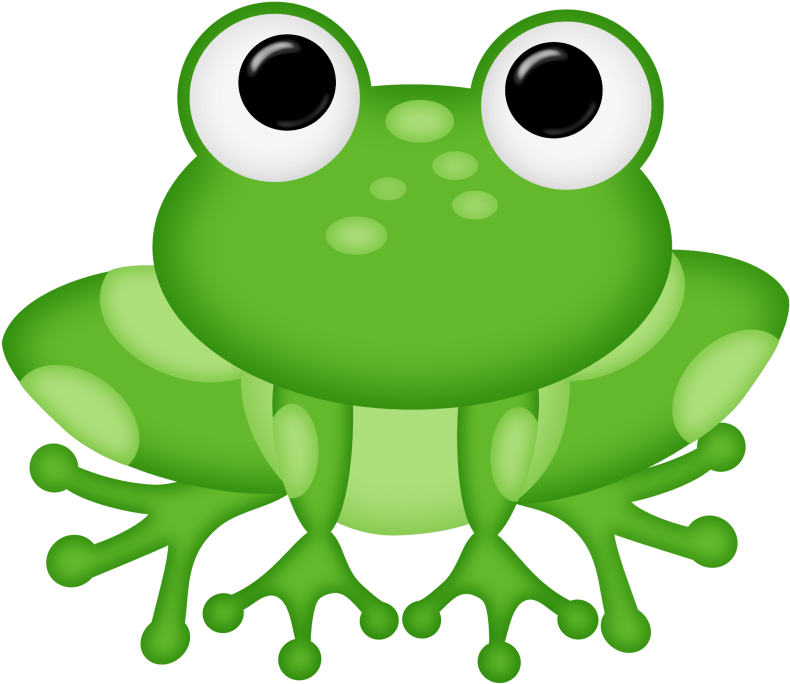 Ch - B *✿* - Frog Clipart Png (800x697)