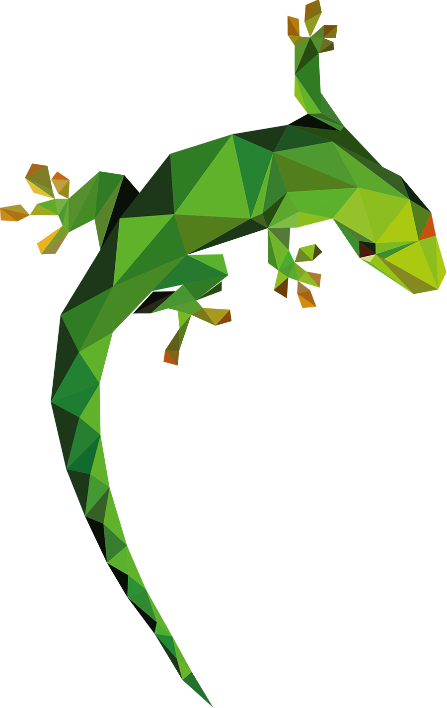 Festival Aangeschoten Wild - Stichting Festival Aangeschoten Wild (900x1426)