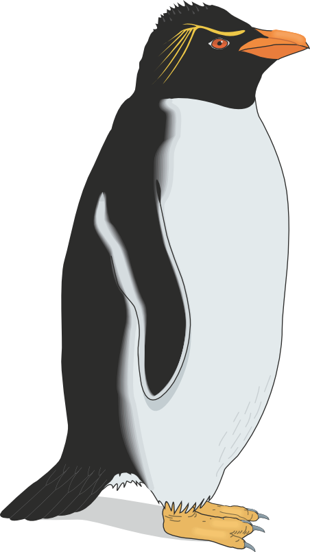 Penguin - Pinguino (452x805)