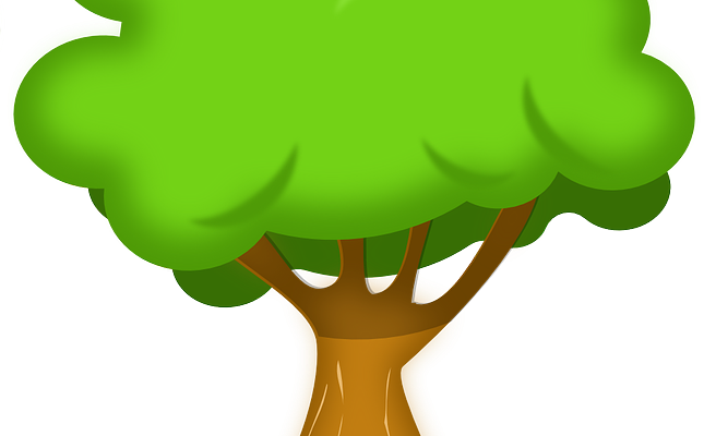 The Tapestry - Tree Clipart Transparent Background (645x400)