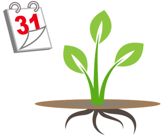 Flortex 10 Funzione Durevole - Function (350x350)