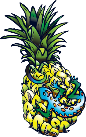 I Scanned The Images On My Epson Printer, And Turned - Pineapple (282x449)