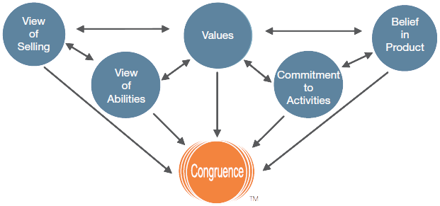 Video Based Learning, Gamification And Accountability, - Integrity Selling Congruence Model (666x303)