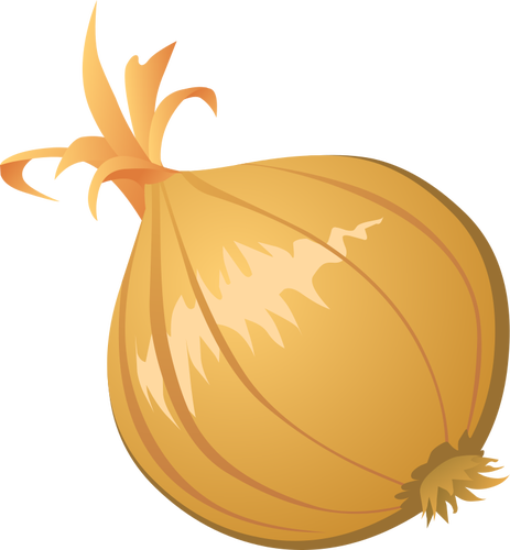 Onion Clipart Free - Onion Clipart Png (463x500)