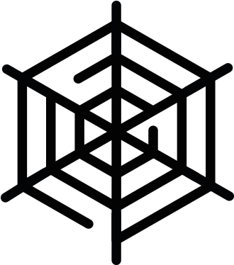 Network Graphic Design - Net Spider Vector (800x546)