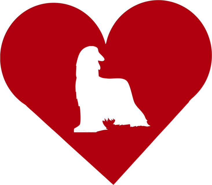 Afghan Hound In Heart Outdoor Vinyl Silhouette - Dog Breed (732x640)
